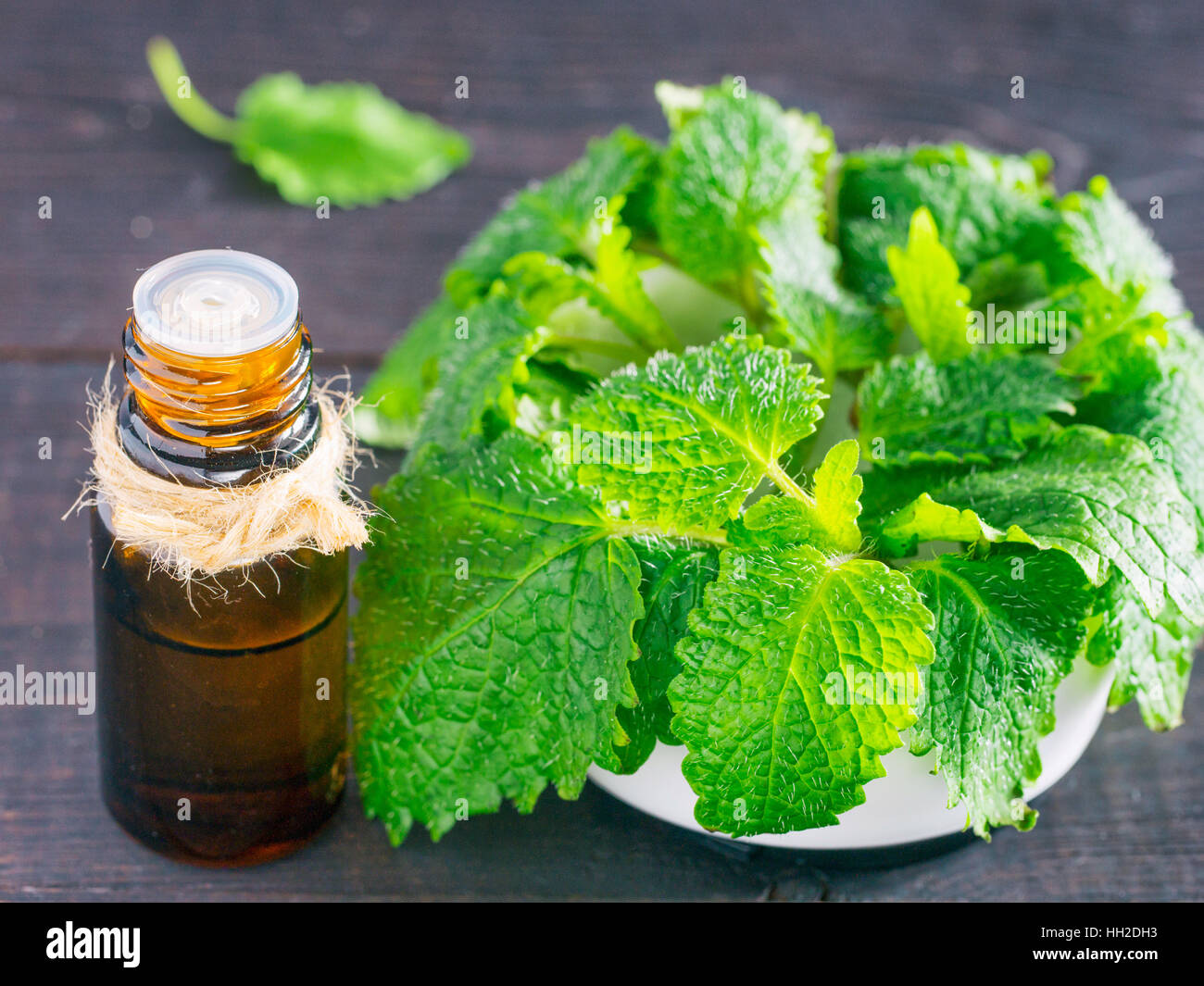 L'huile essentielle de menthe ou de mélisse Banque D'Images