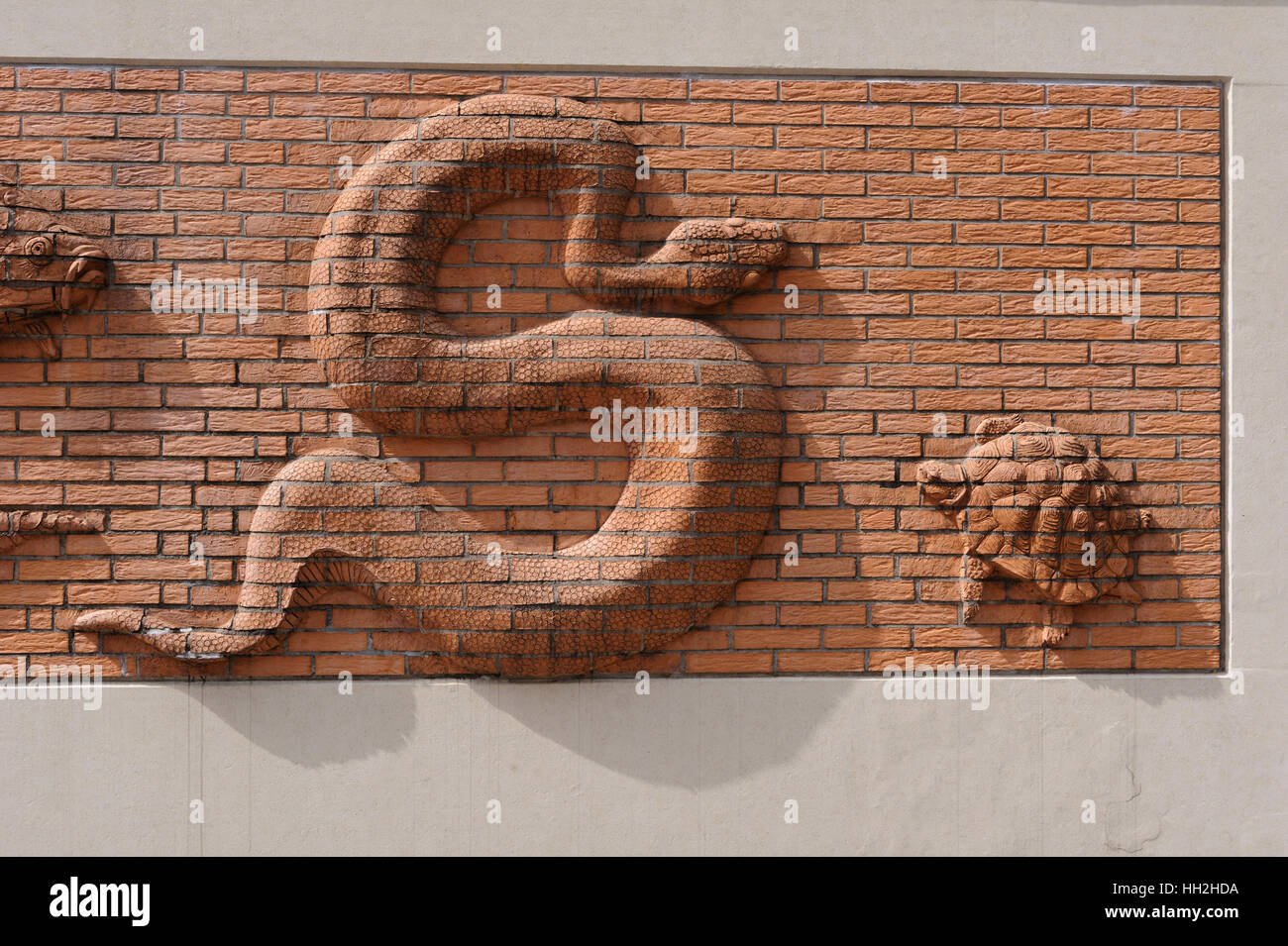 Une illustration d'un serpent et tortue sur l'extérieur de l'Aquarium de Berlin, Allemagne. Banque D'Images