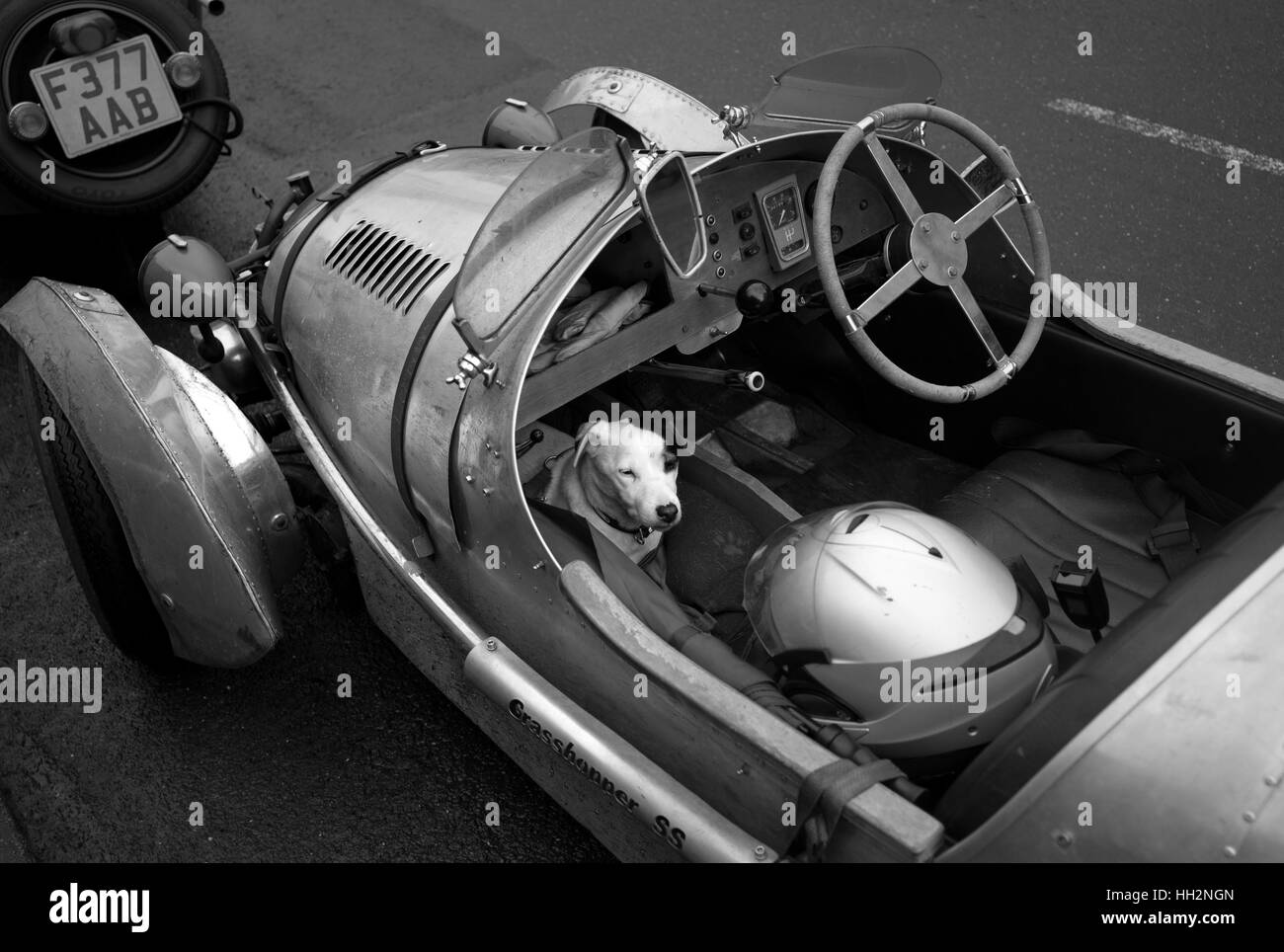 Jack Russell dans Pembleton 3 voiture de sport à roues, Alston Banque D'Images