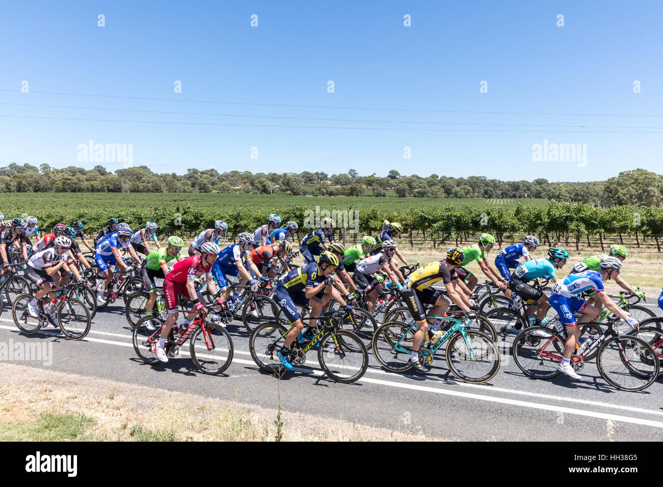 Adélaïde, Australie. 17 janvier, 2017. Jose Goncalves (POR) de l'équipe Katusha - Alpecin (KAT) lors de l'étape 1 de la Santos Tour Down Under 2017. Credit : Ryan Fletcher/Alamy Live News Banque D'Images