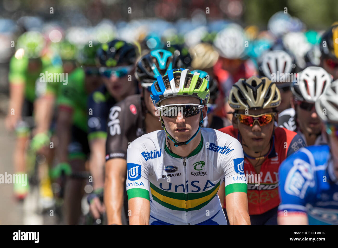 Adélaïde, Australie. 17 janvier, 2017. Les cyclistes de l'équipe de l'UNISA (UNA) lors de l'étape 1 de la Santos Tour Down Under 2017. Credit : Ryan Fletcher/Alamy Live News Banque D'Images