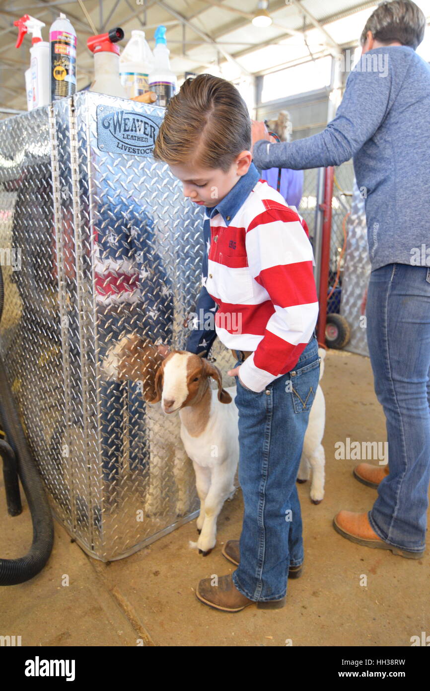 Ft. Worth, Texas, USA. 16 janvier, 2017. Eli Green et sa chèvre Gidget à son premier Ft. Stock d'une valeur de montrer l'apparence. Credit : Hum Images/Alamy Live News Banque D'Images