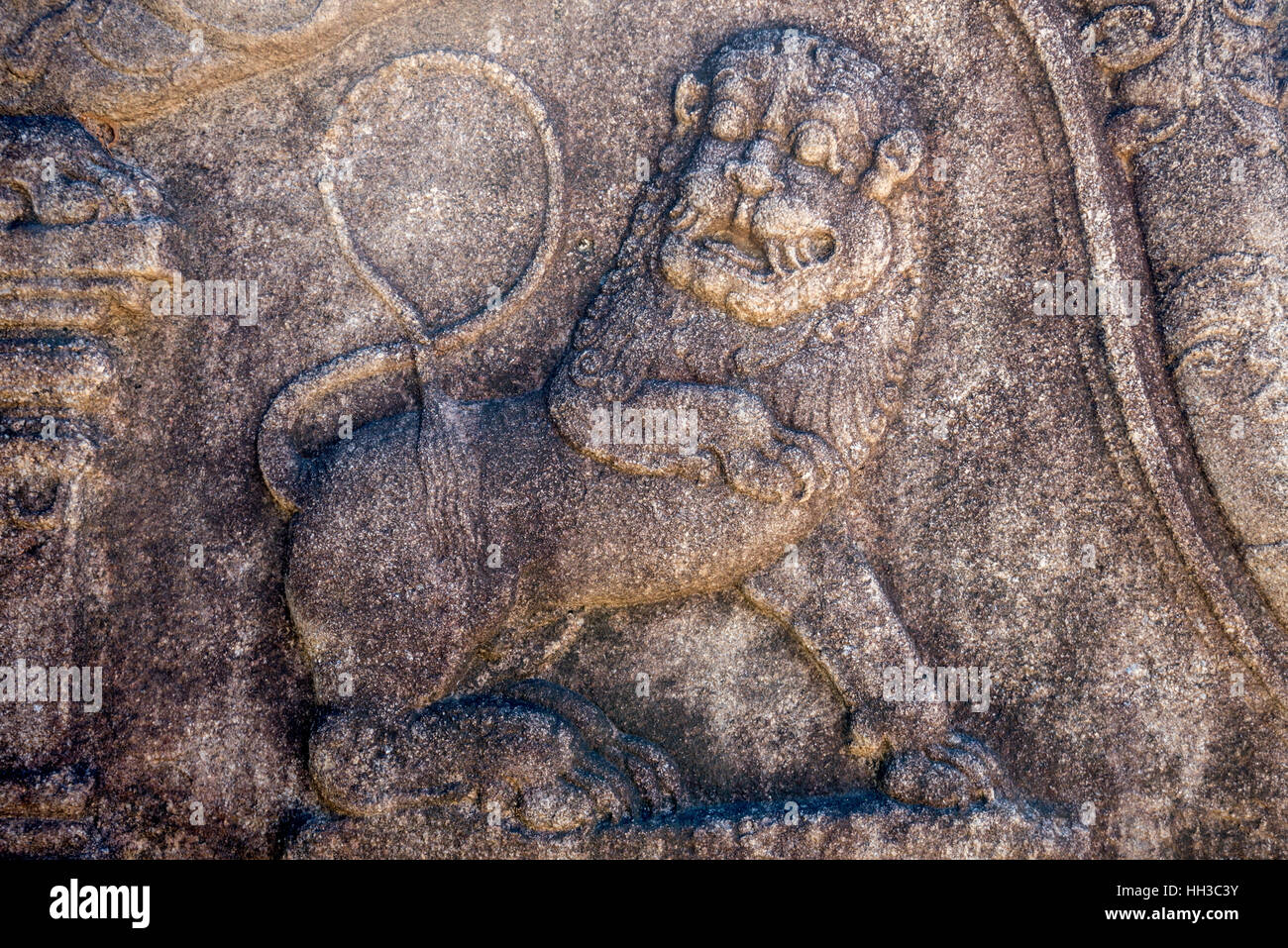 Sculptures de lion Polonnaruwa au Sri Lanka Banque D'Images