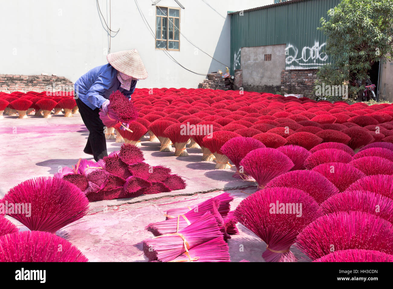 La préparation des travailleurs de bambou violet et rouge pour l'application de l'encens. Banque D'Images