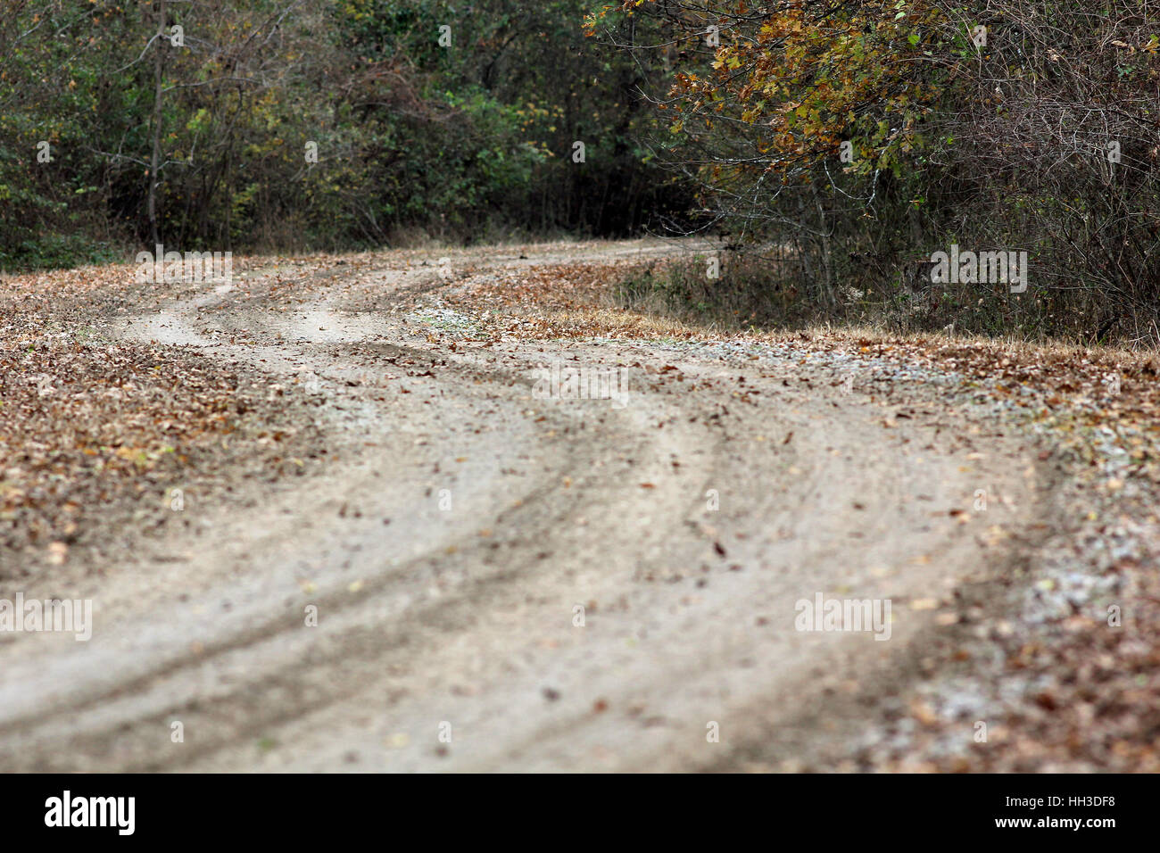 chemin de terre Banque D'Images