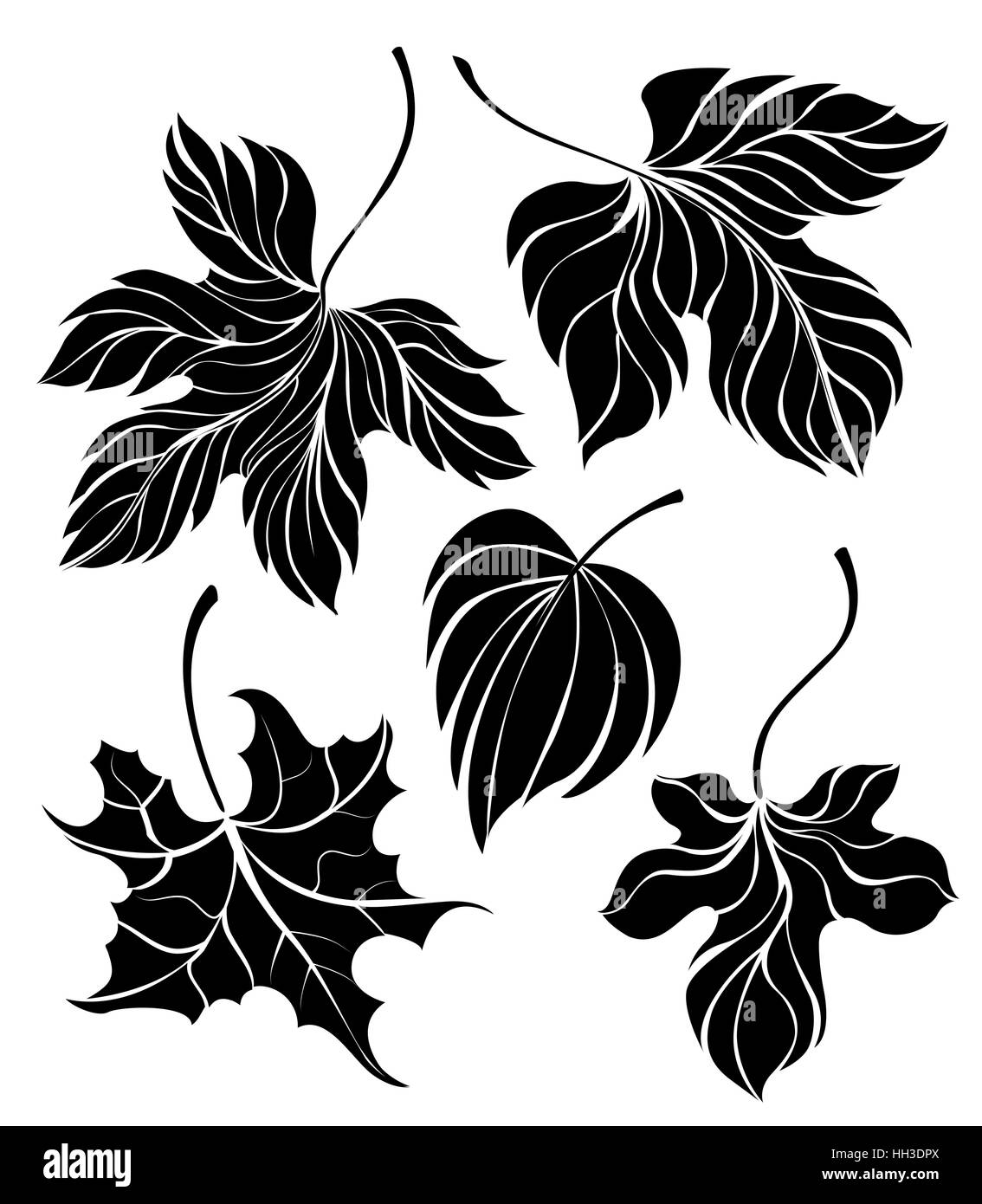 Ensemble de peinture artistique, isolé, noir, silhouettes de feuilles sur un fond blanc. Des modèles. Style de tatouage. Faites à la main. Esquisse Illustration de Vecteur