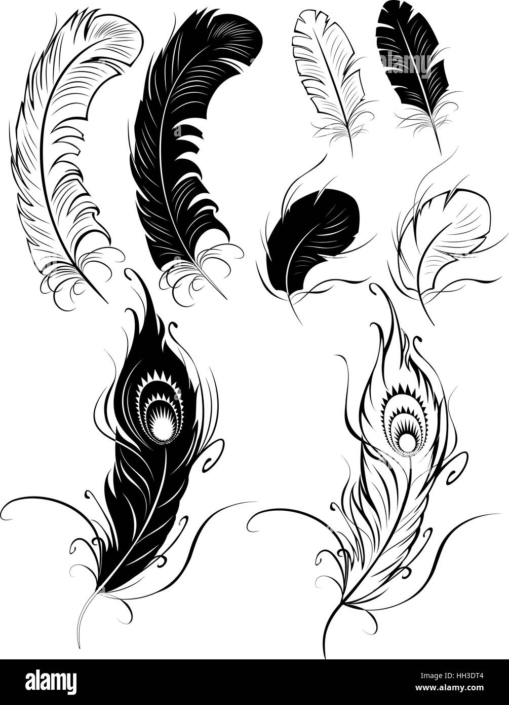 Plumes peintes artistiquement sur un fond blanc. Illustration de Vecteur