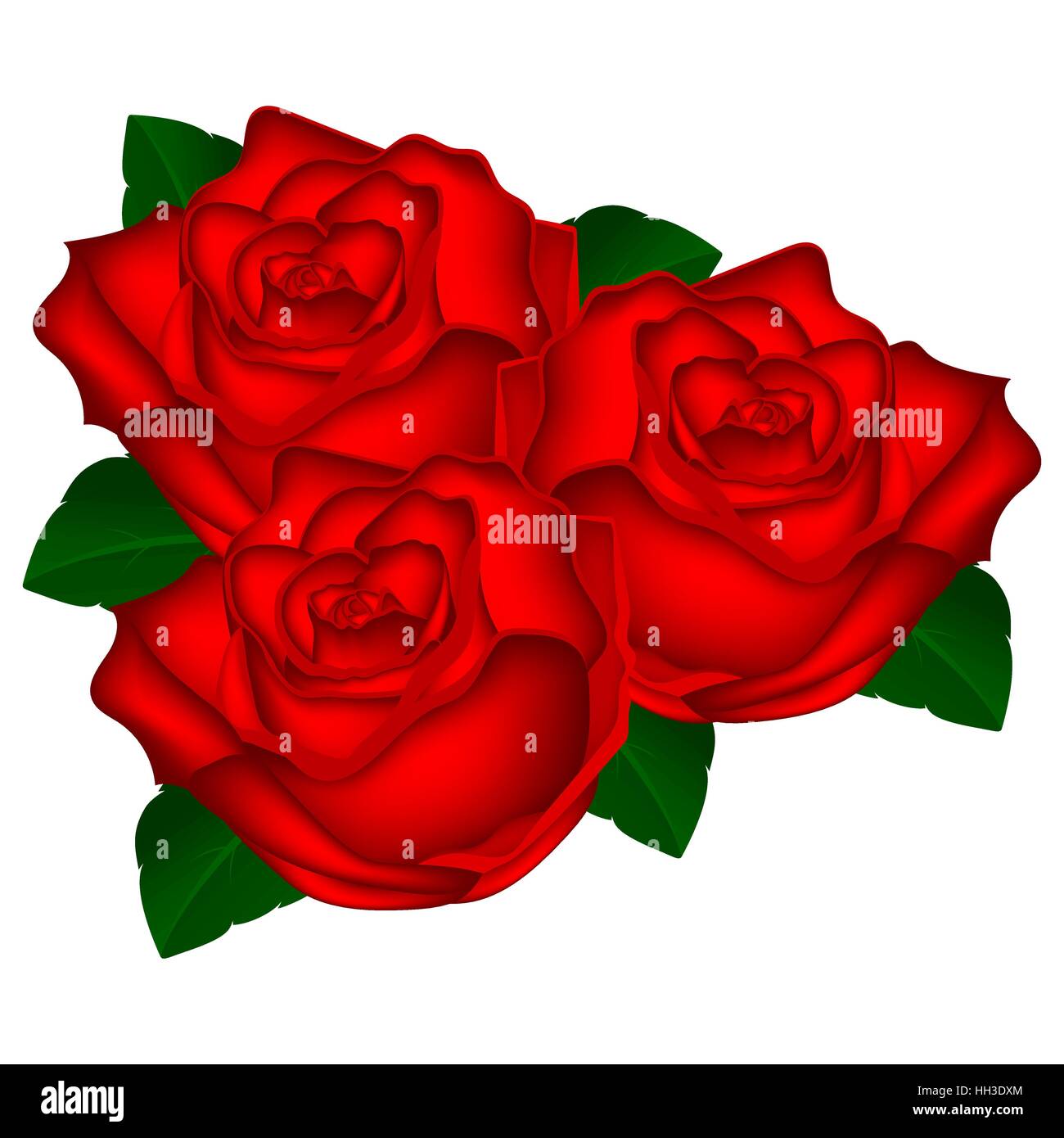 Bouquet de roses rouges sur fond blanc vector illustration o Illustration de Vecteur