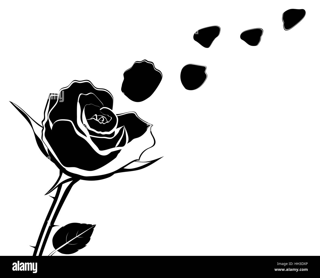 Silhouette de la fleur avec des pétales de rose s'envoler vector illustr Illustration de Vecteur