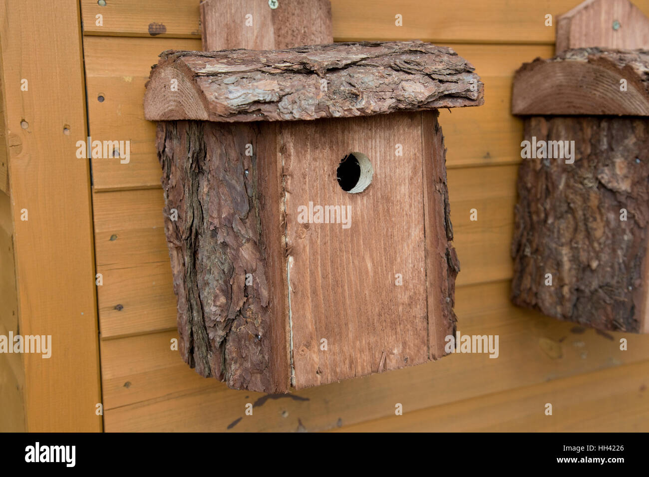 Rustic log nest box UK Banque D'Images