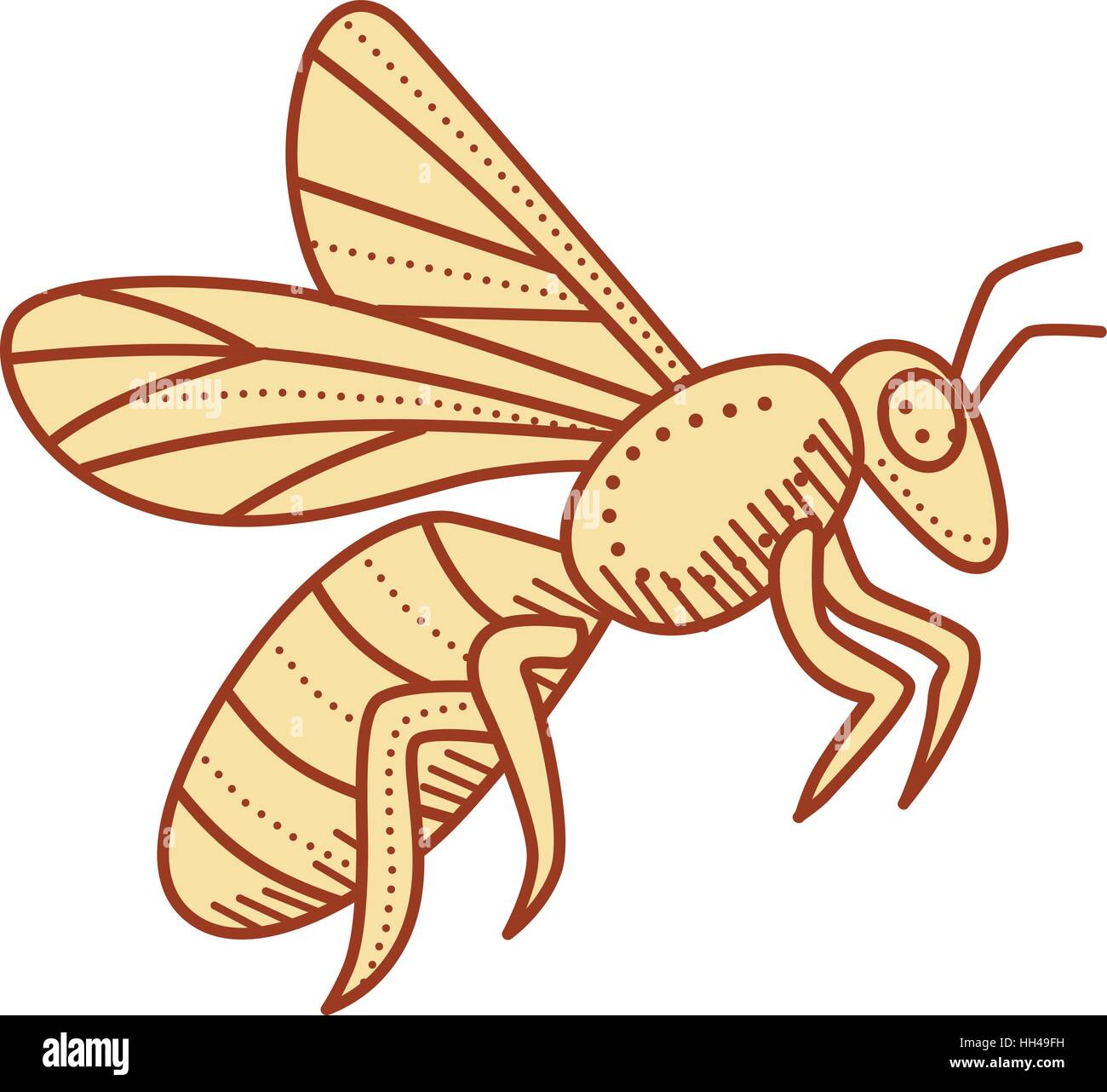 Style ligne mono illustration d'un travailleur en vol d'abeilles depuis le  côté isolé sur fond blanc Image Vectorielle Stock - Alamy