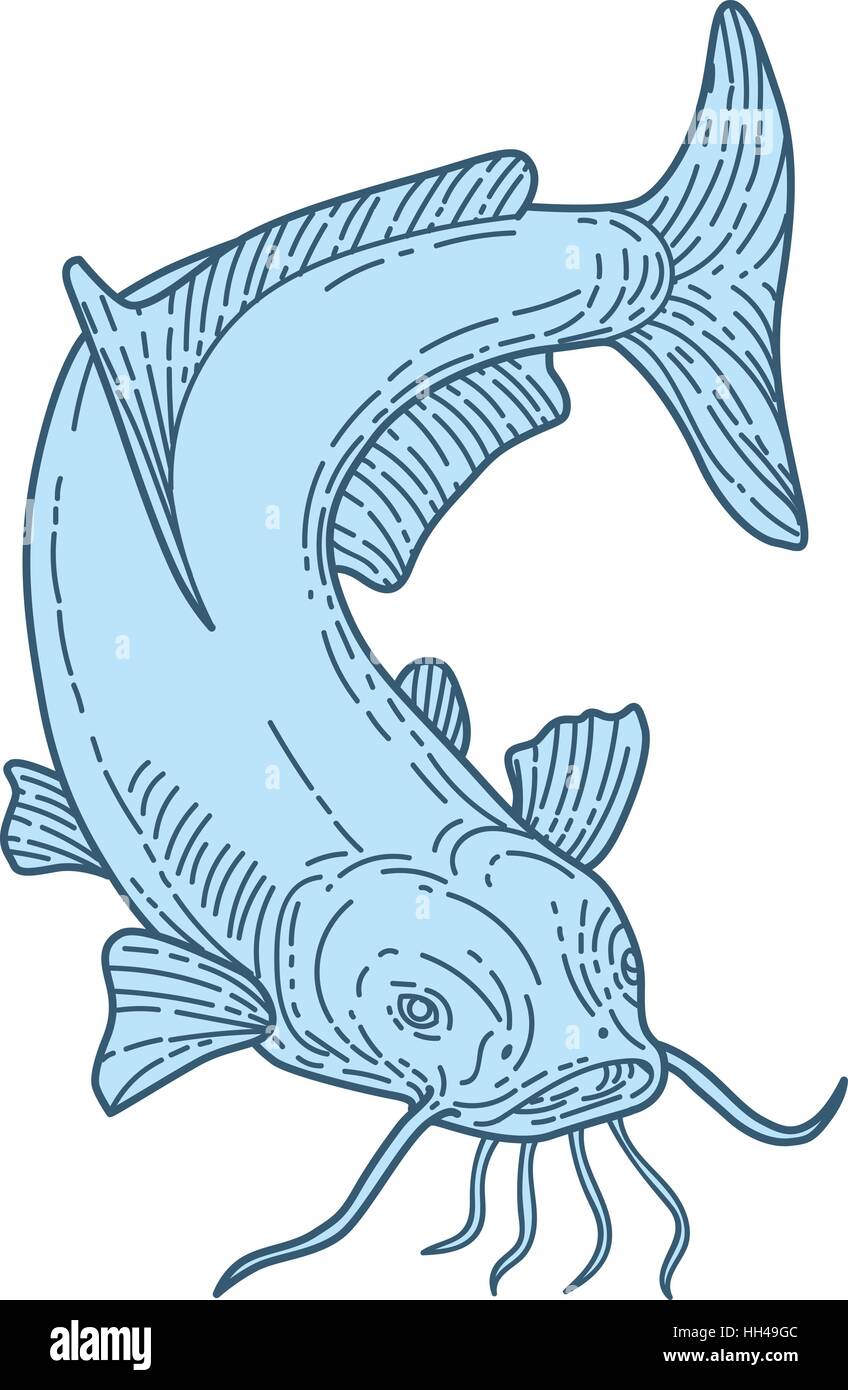 Style ligne mono illustration d'un poisson à nageoires aussi appelé poisson-chat, chat de boue ou polliwogs chucklehead plongée vers le bas situé sur fond blanc isolé Illustration de Vecteur