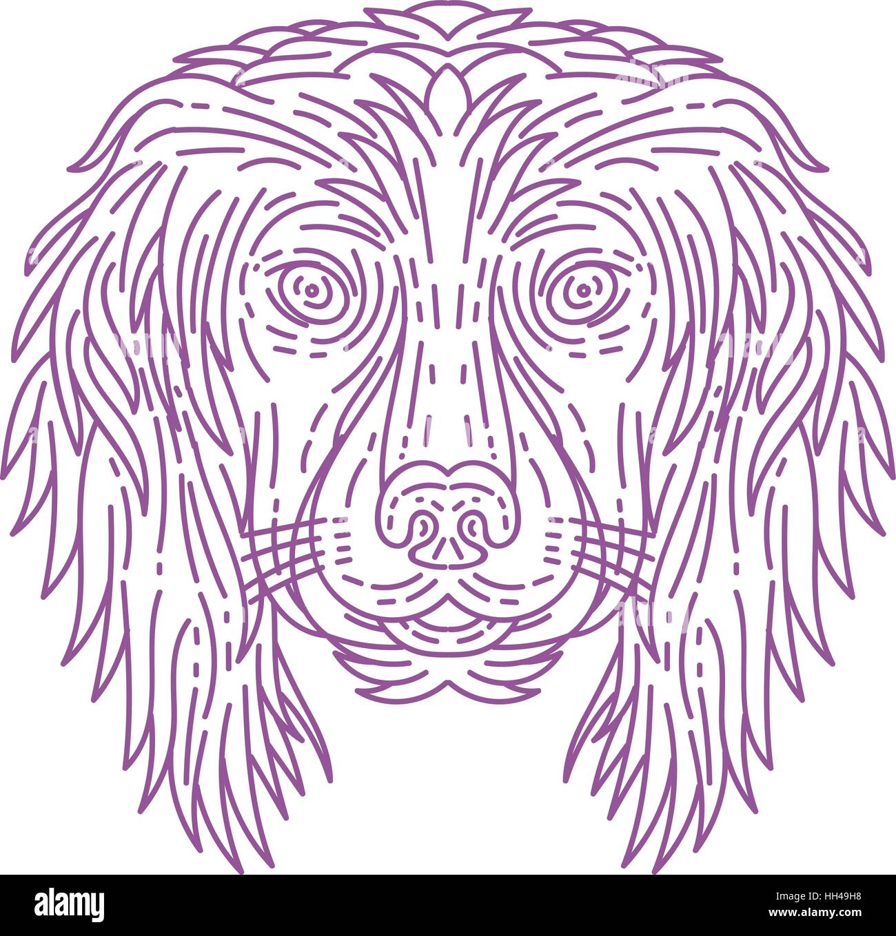 Style ligne mono illustration d'une tête de chien cocker du point de vue de l'avant ensemble isolées sur fond blanc. Illustration de Vecteur