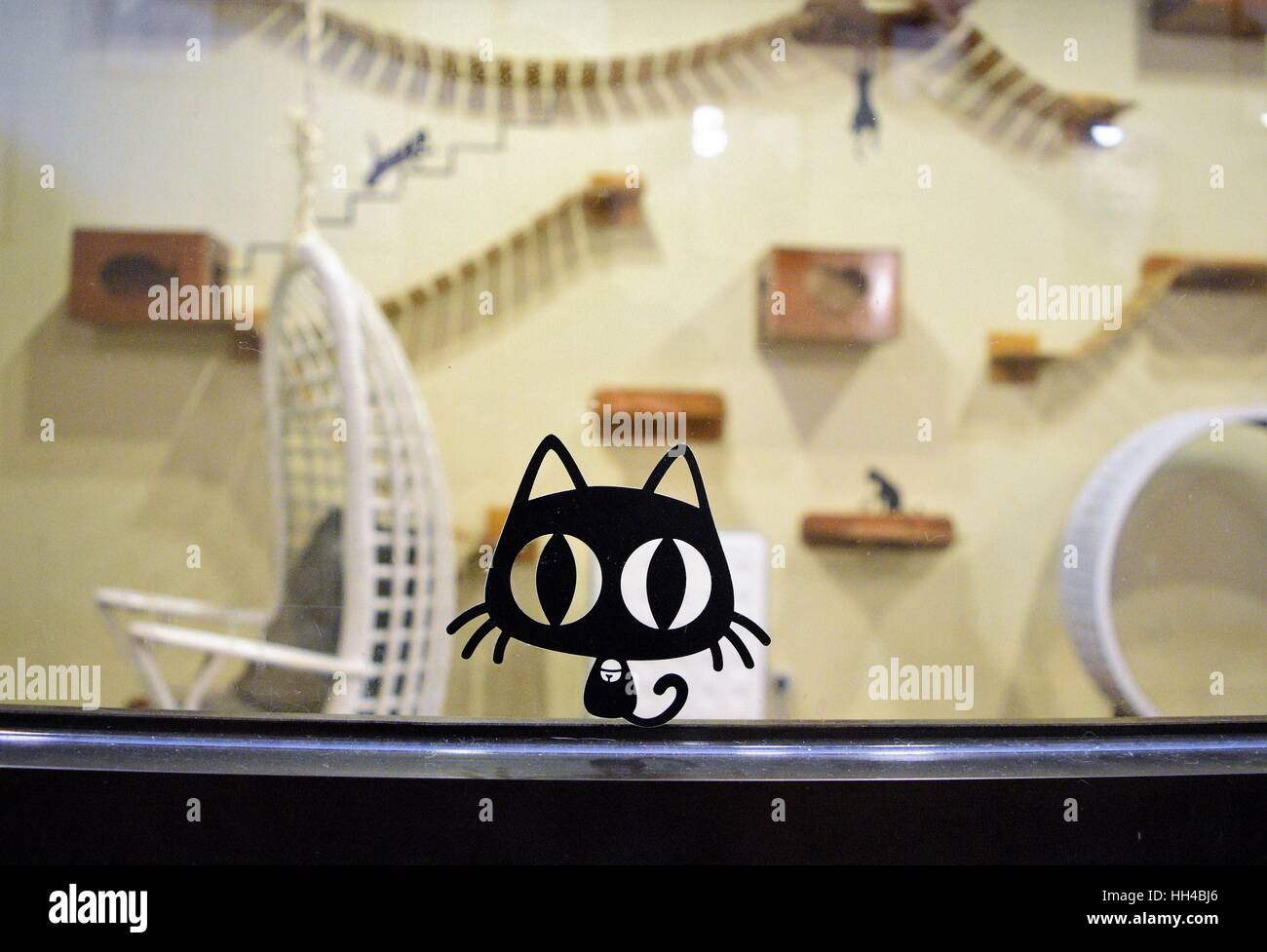 Autocollant noir chat sur un mur en verre Banque D'Images