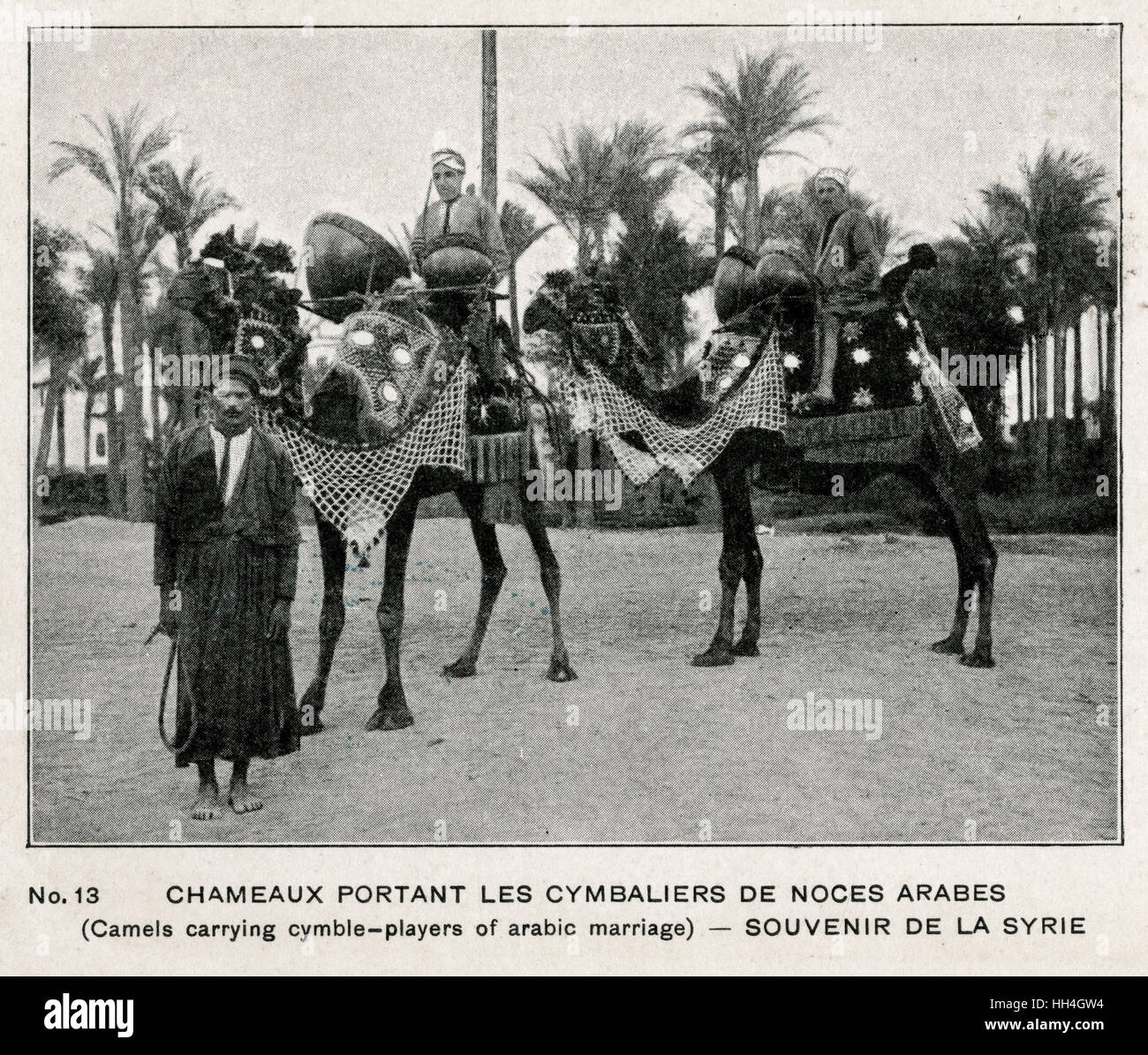Un train de mariage syrienne ouvragée dont ces deux chameaux portant la batterie et les batteurs. Banque D'Images