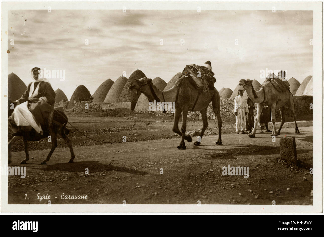 Caravane de chameaux passant par Kafar Tkerime nr Alep, Syrie Banque D'Images