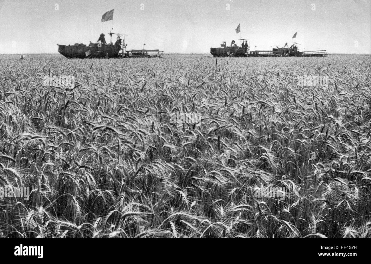 Chine communiste - terres revendiquées pour l'agriculture Banque D'Images