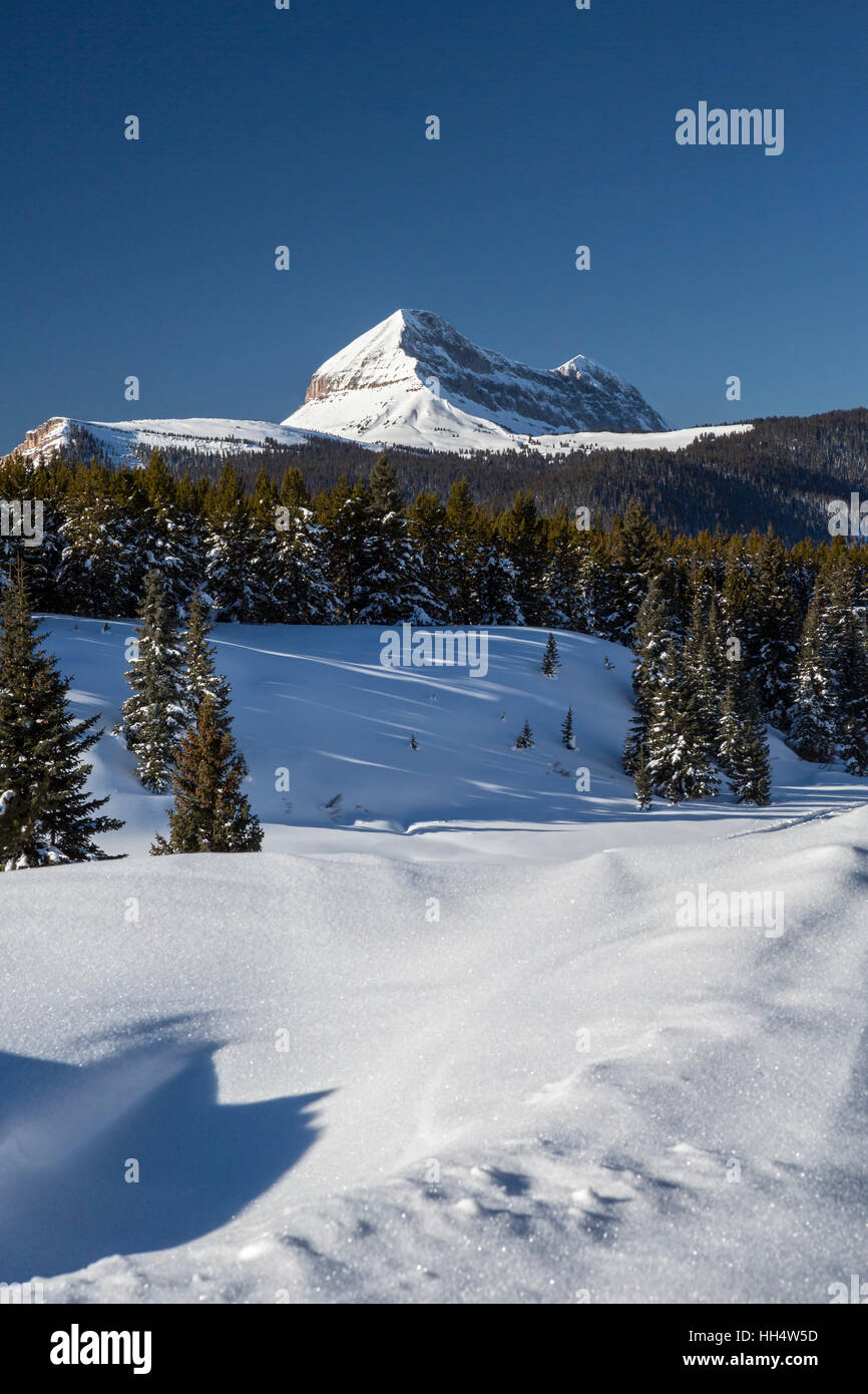 Silverton, Colorado - Molas Pass dans les montagnes de San Juan. Banque D'Images