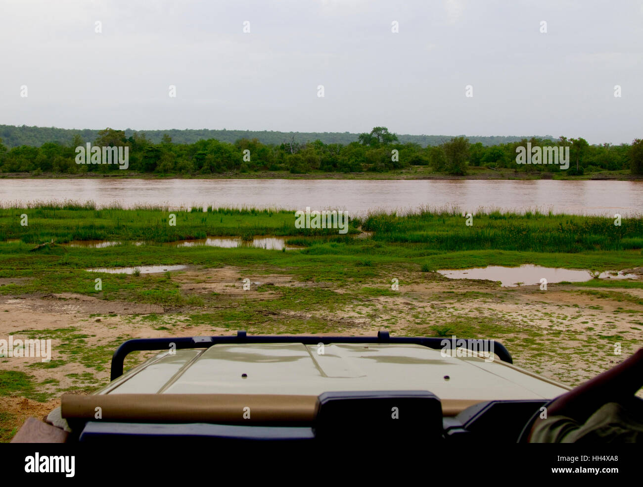 Photo de paysage d'une rivière à la réserve de gibier de Selous en Tanzanie (Afrique) à partir d'une voiture/jeep safari Banque D'Images