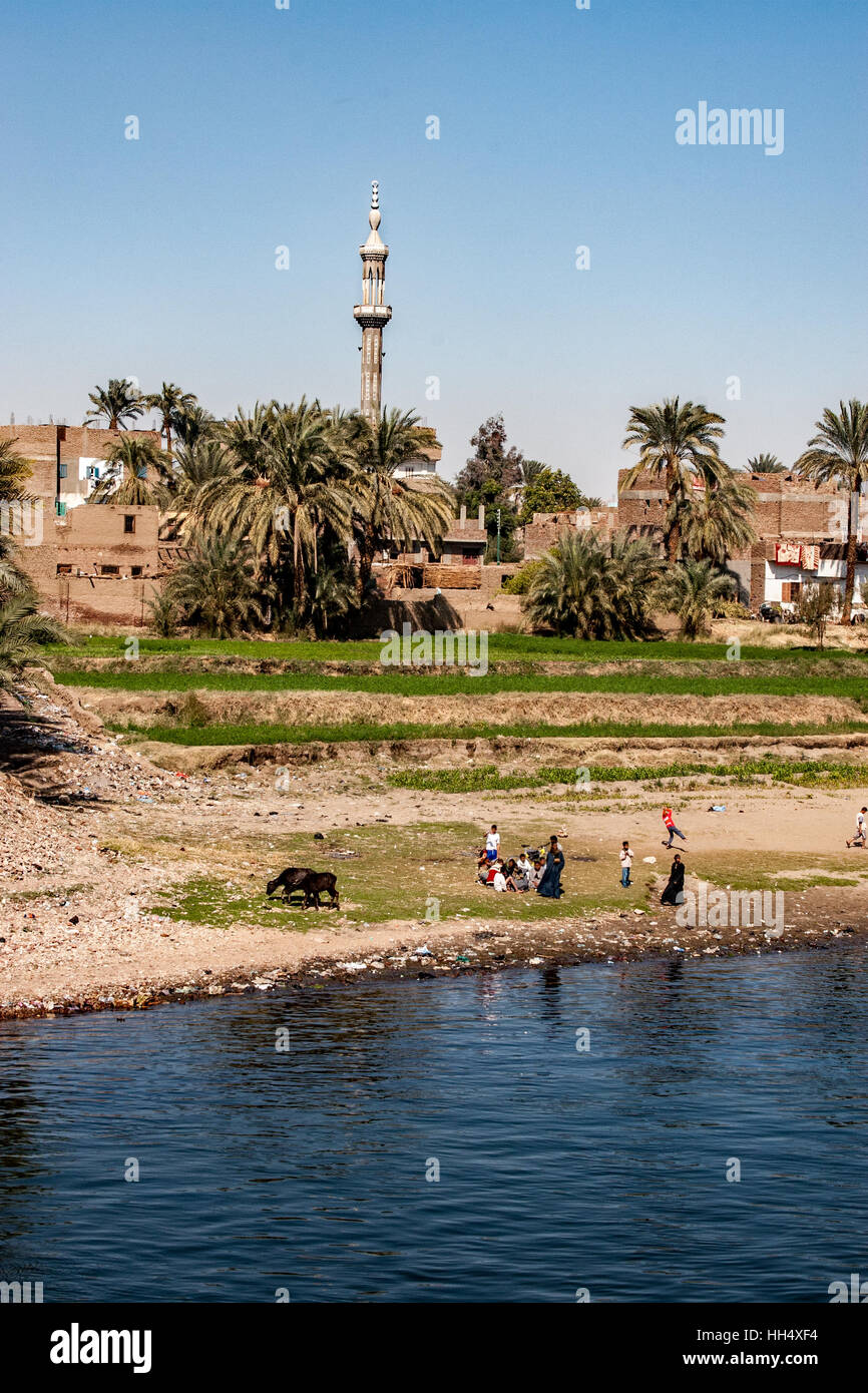 Croisières le long du Nil en Egypte montrent des gens qui vivent leur vie quotidienne autant qu'il avait été pendant des siècles. Banque D'Images