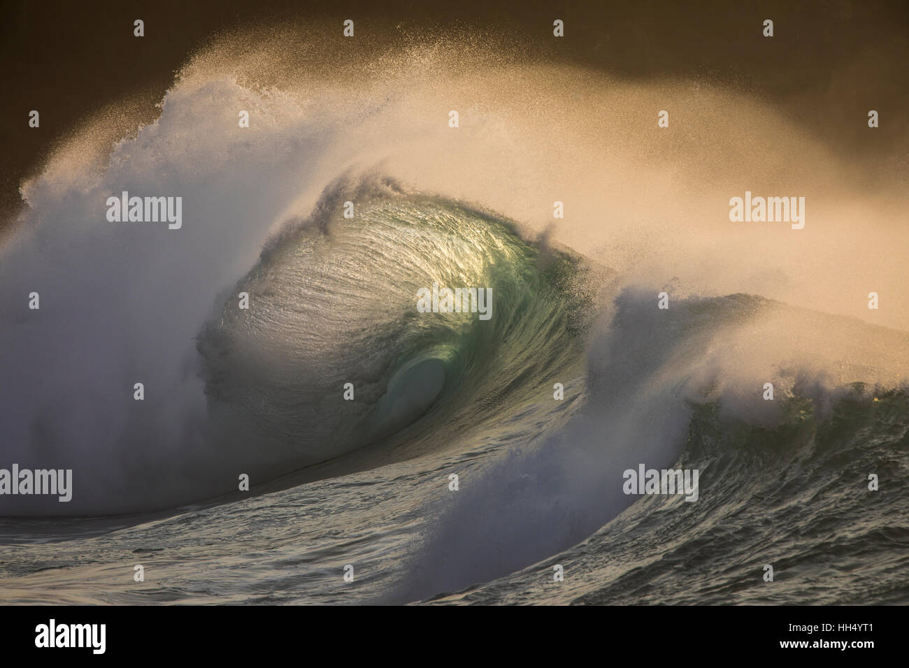 Une vague de shore break à la torche pendant une forte houle à Waimea Bay sur la côte nord d'Oahu. Banque D'Images