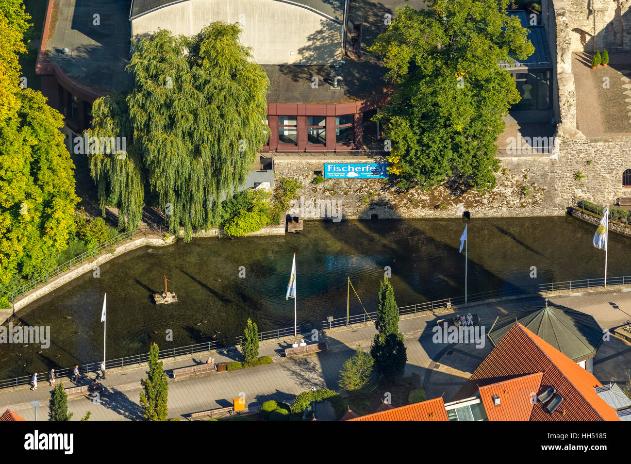 Bad Lippspringe, forêt de Teutoburg dans le Parc Naturel de la forêt de Teutoburg, Allemagne, Europe, oiseau-lunettes vue, photo aérienne, aerial Banque D'Images