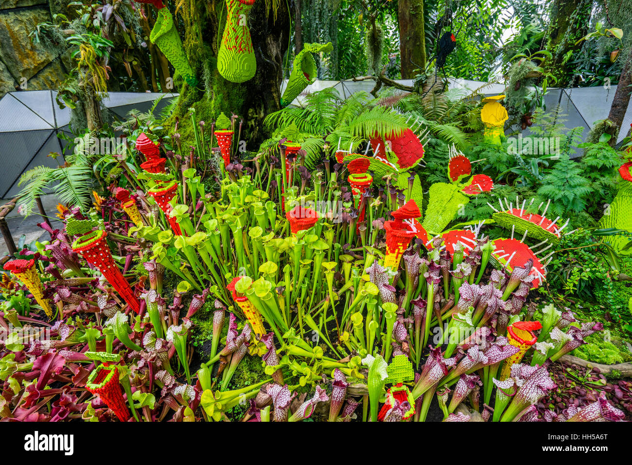 Singapour, les jardins de la baie, Lego plantes carnivores au Cloud Forest green house Banque D'Images