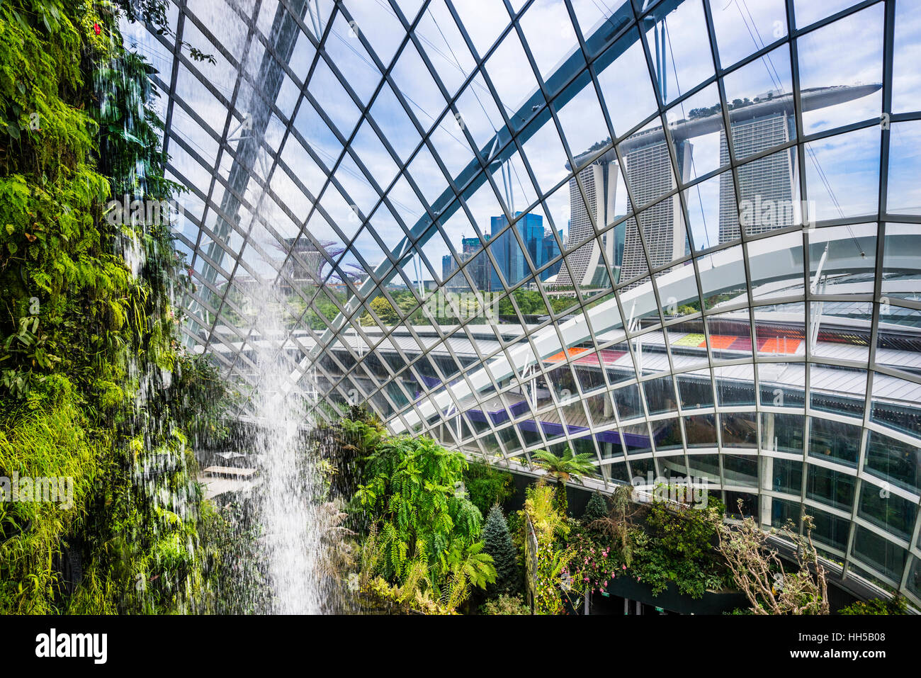 Singapour, les jardins de la baie, vue à partir de l'arbre de marche de la montagne et de la chute d'une végétation luxuriante dans le nuage géant vert forêt chambre Banque D'Images