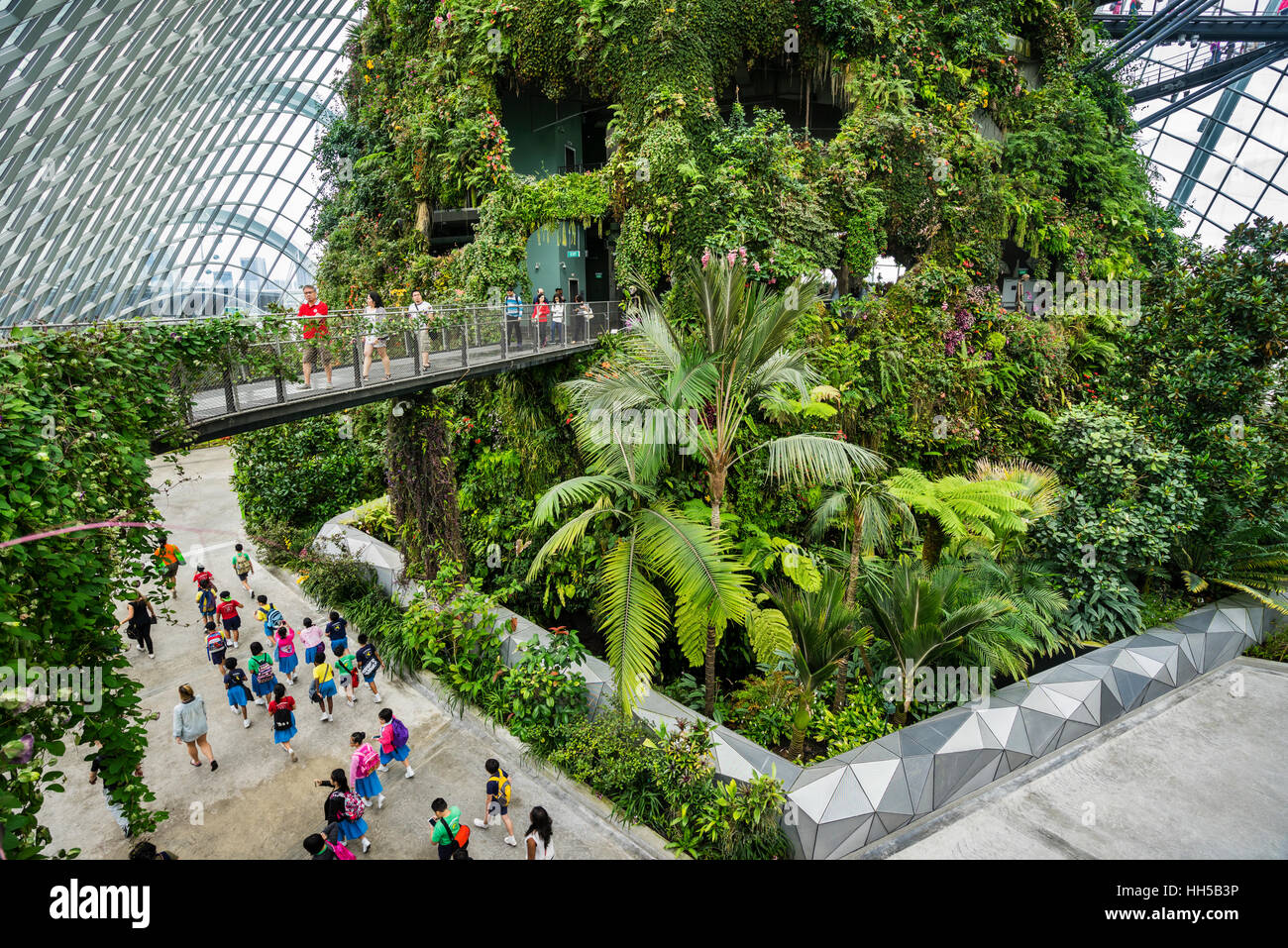 Singapour, les jardins de la baie, vue à partir de l'arbre de marche de la végétation luxuriante de la montagne Nuage géant vert forêt chambre Banque D'Images