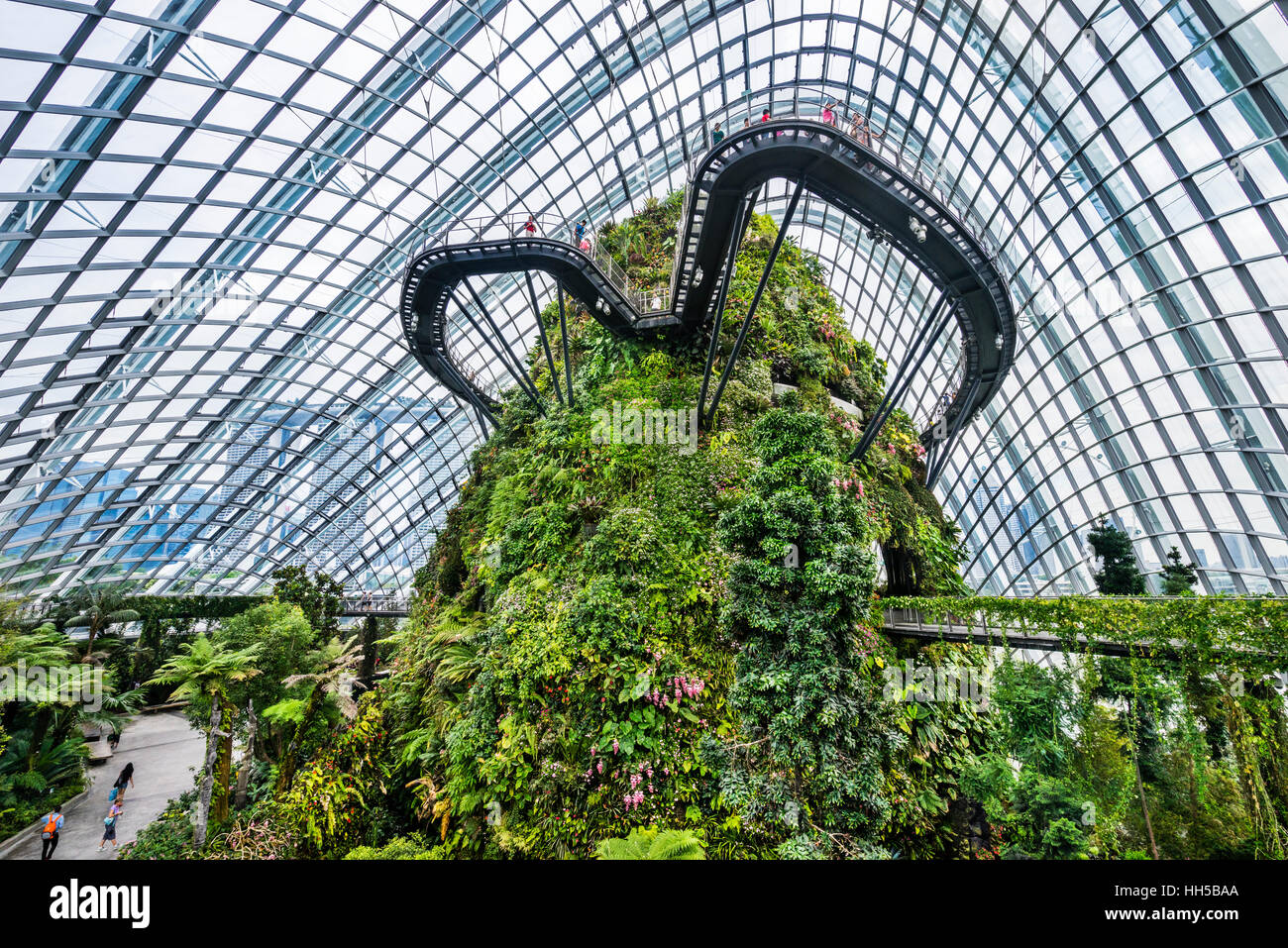 Singapour, les jardins de la baie, vue sur les nuages et la cime des promenades en montagne à la végétation luxuriante dans le nuage géant vert forêt chambre Banque D'Images