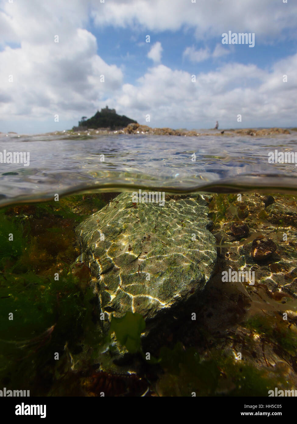 St Michael's Mount rockpool duplex tourné, Cornwall Banque D'Images