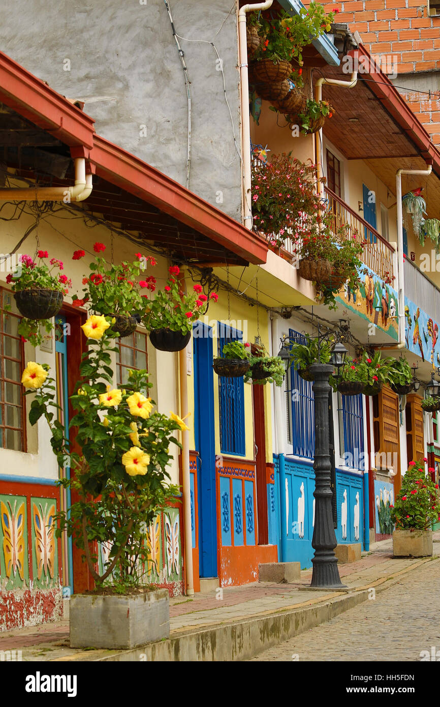 Fermer capture d'un bloc de maisons peintes de couleurs vives avec beaucoup de fleurs à Guatape, Colombie Banque D'Images