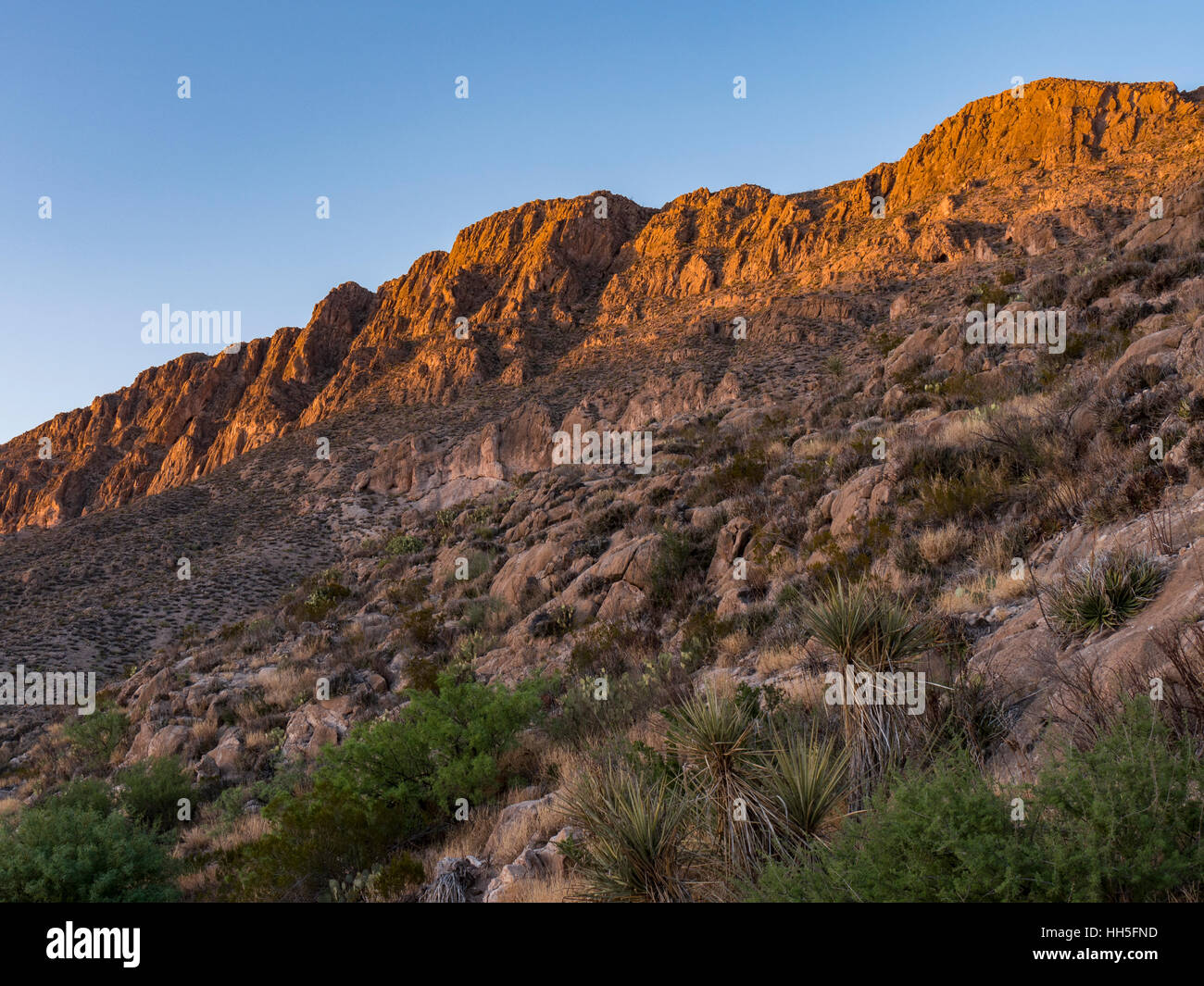 Coucher du soleil la lumière sur les rochers près de l'embouchure de Boquillas Canyon, le parc national Big Bend, Rio Grande Village, Texas. Banque D'Images