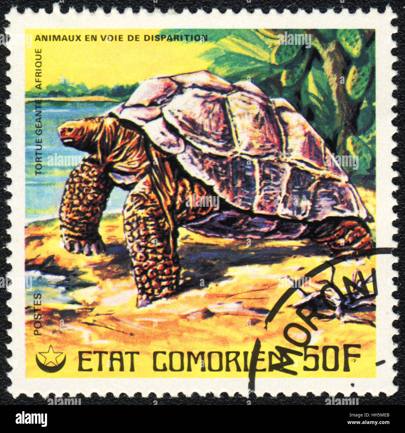 Un timbre-poste imprimé en Comores montre une tortue géante de l'Afrique, série, vers 1980 Banque D'Images