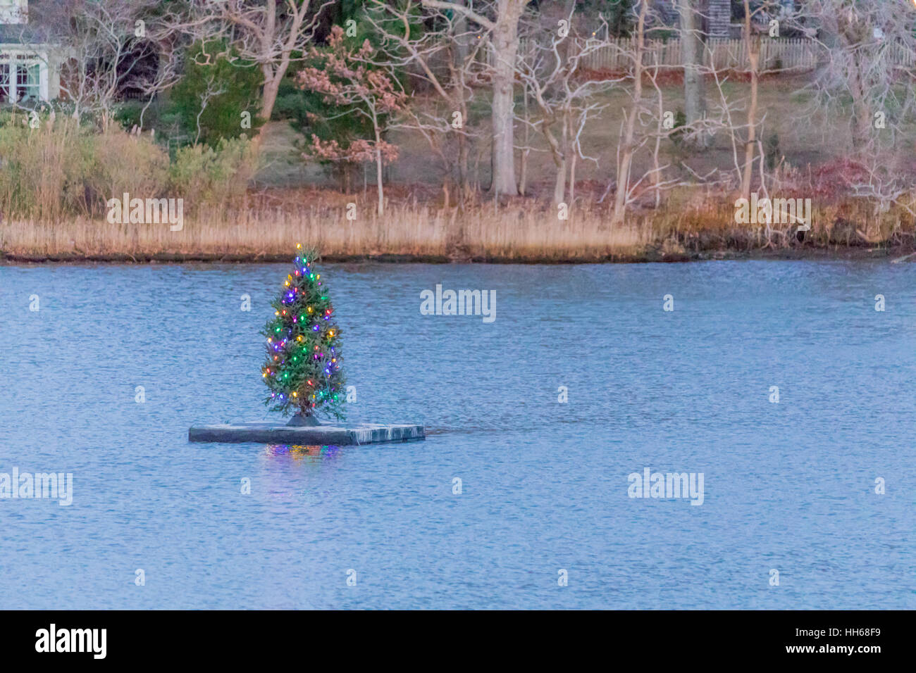 Arbre de Noël au milieu d'un étang avec des lumières électriques de différentes couleurs Banque D'Images