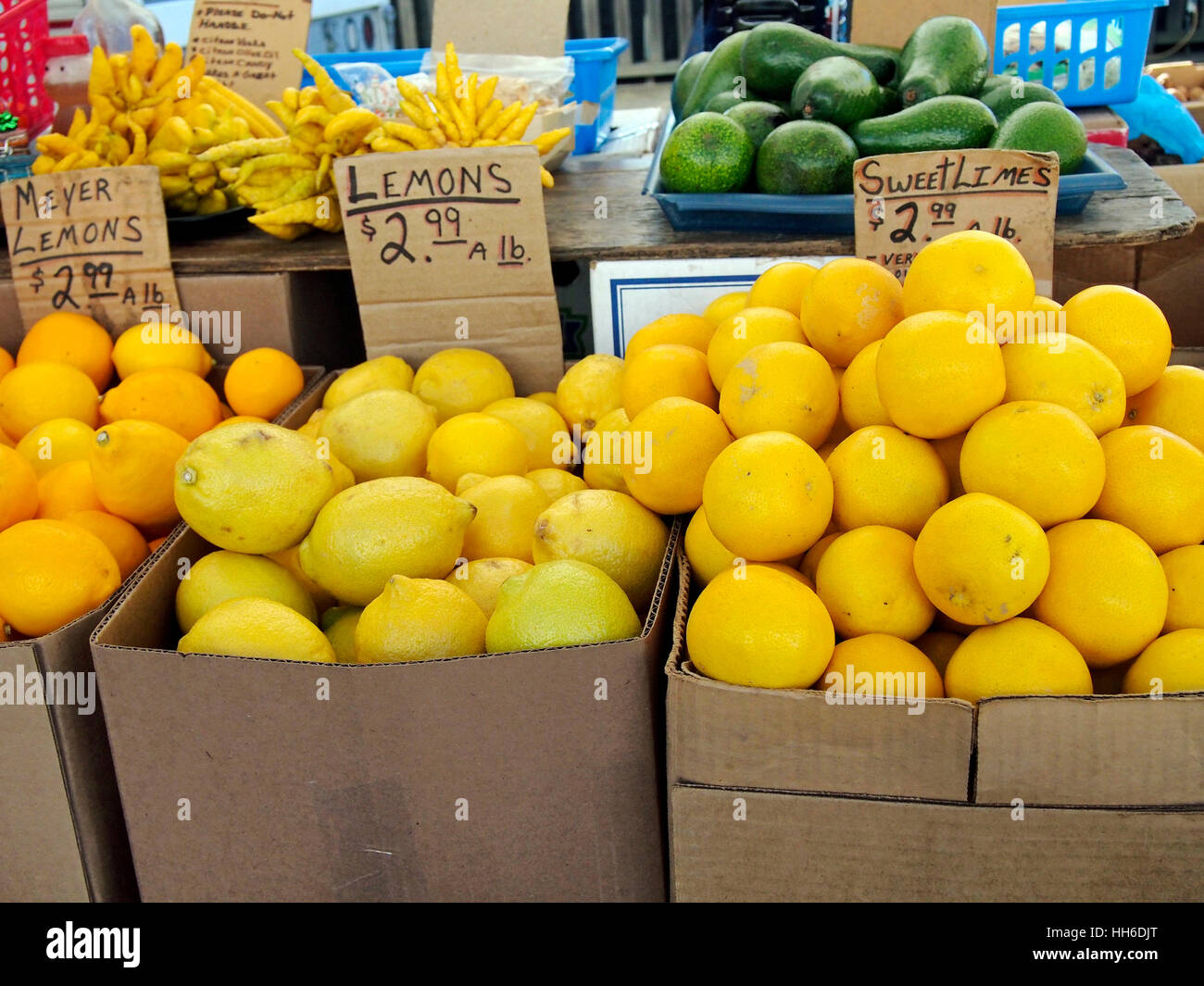 Les oranges, citrons et limes à l'hebdomadaire Farmers Market à Marin Country Mart à Larkspur Landing dans le comté de Marin, en Californie. Banque D'Images