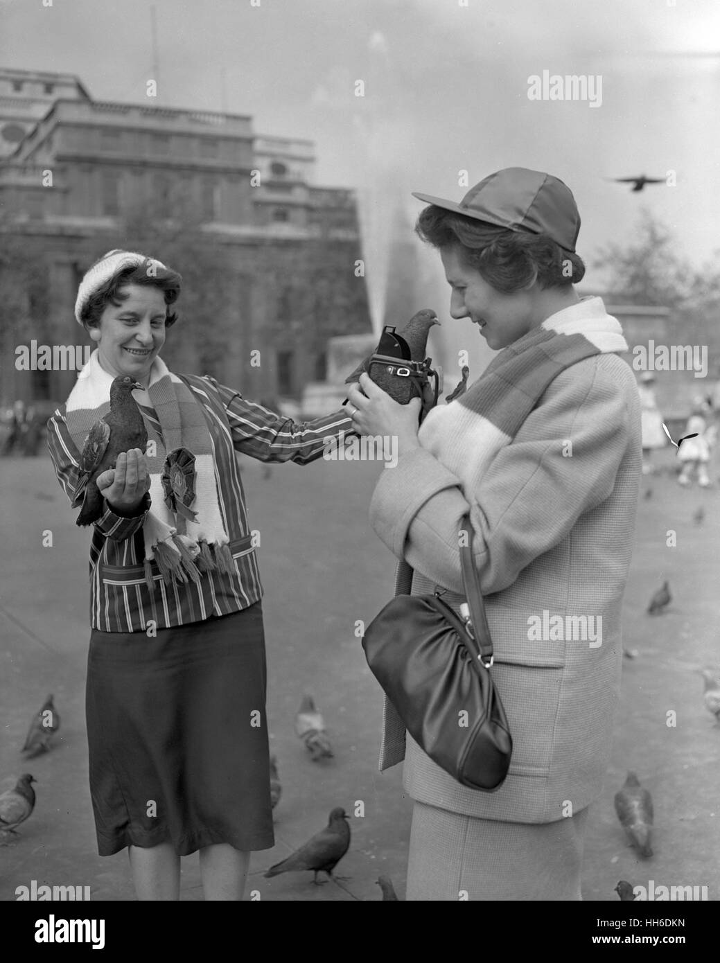 Doreen Ferguson (l) est photographié par son ami, Eileen évêque, alors qu'elle alimente les pigeons à Trafalgar Square avant d'aller à Wembley pour la finale de Coupe de Ligue de Rugby. Ils sont partisans de Wakefield Trinity, l'un des finalistes, et sont à partir de la coque vert, près de Wakefield. Banque D'Images