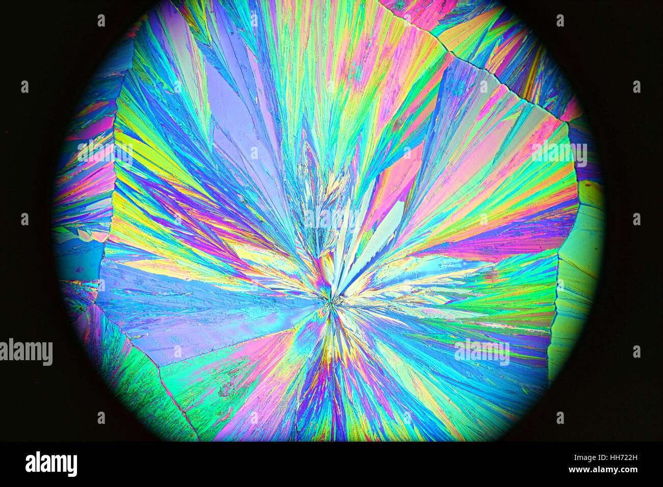 Image du microscope de paracétamol cristalisée. Le paracétamol, aussi connu comme l'acétaminophène ou de l'APAP est un médicament utilisé pour traiter la douleur et la fièvre. Banque D'Images