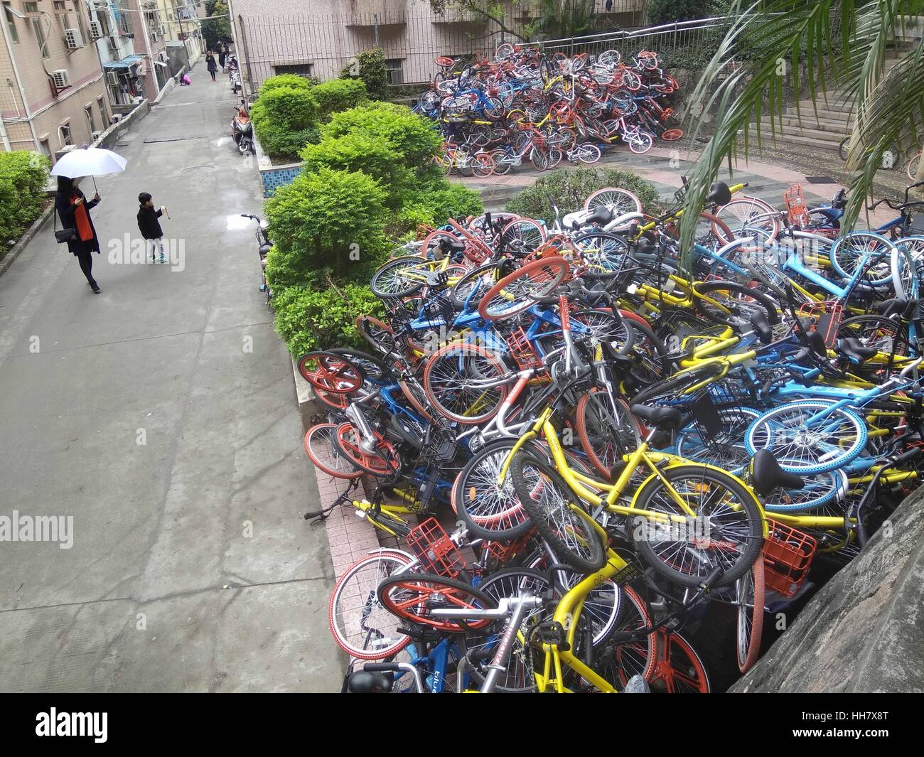 Shenzhen, Shenzhen, Chine. 16 janvier, 2017. Shenzhen, Chine - 16 janvier 2017 : (usage éditorial uniquement. Chine OUT) .Des centaines de vélos partagés saboté couché à côté d'un parc dans le sud de la Chine, Shenzhen, 16 janvier 2017. Vélos partagés de différentes sociétés de services de location de vélos y compris Mobi, Xiaoming et OFO sont maintenant confrontés au problème de sabotage en Chine. De nombreux vélos partagés ont été abandonnés dans la rue et avait besoin d'être réparées le vélo libre-gains maintenant en popularité. Crédit : SIPA Asie/ZUMA/Alamy Fil Live News Banque D'Images