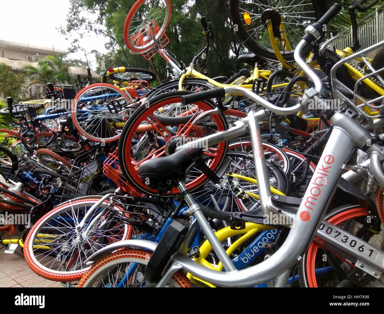 Shenzhen, Shenzhen, Chine. 16 janvier, 2017. Shenzhen, Chine - 16 janvier 2017 : (usage éditorial uniquement. Chine OUT) .Des centaines de vélos partagés saboté couché à côté d'un parc dans le sud de la Chine, Shenzhen, 16 janvier 2017. Vélos partagés de différentes sociétés de services de location de vélos y compris Mobi, Xiaoming et OFO sont maintenant confrontés au problème de sabotage en Chine. De nombreux vélos partagés ont été abandonnés dans la rue et avait besoin d'être réparées le vélo libre-gains maintenant en popularité. Crédit : SIPA Asie/ZUMA/Alamy Fil Live News Banque D'Images