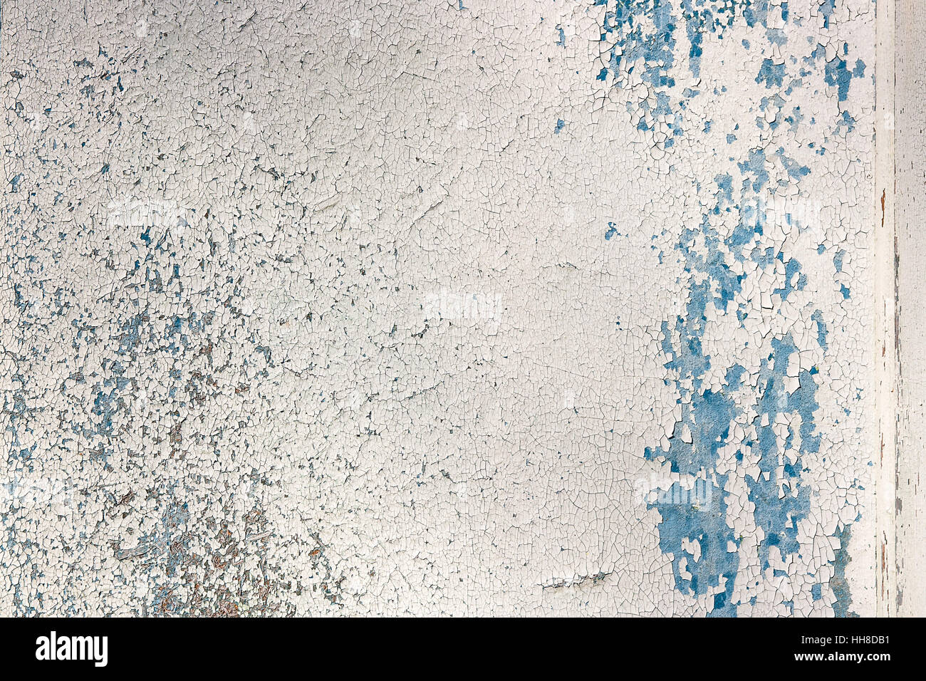 Texture bois avec peinture la couleur est arrachée. Peinture écaillée comme texture de fond bois vintage. Banque D'Images