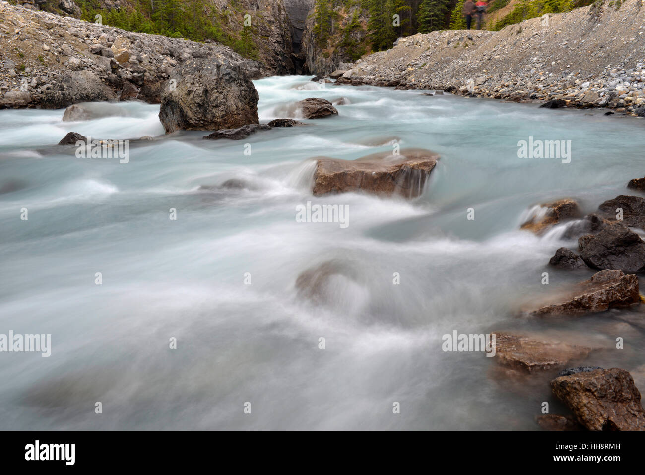La fonte des glaciers de l'alimentation du système de la rivière Athabasca Banque D'Images