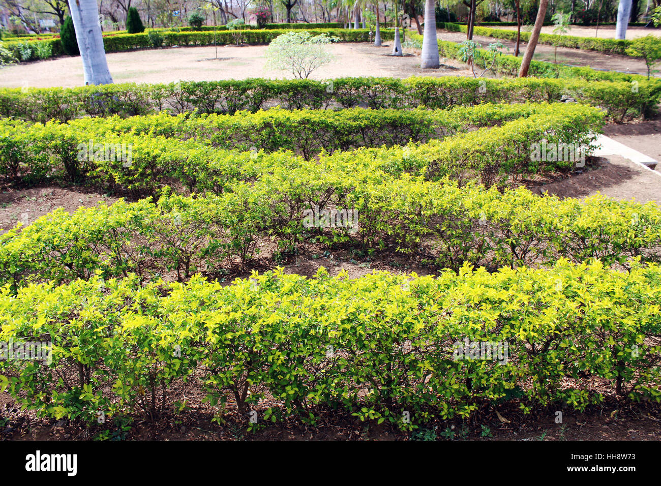 Jardin informel Banque D'Images