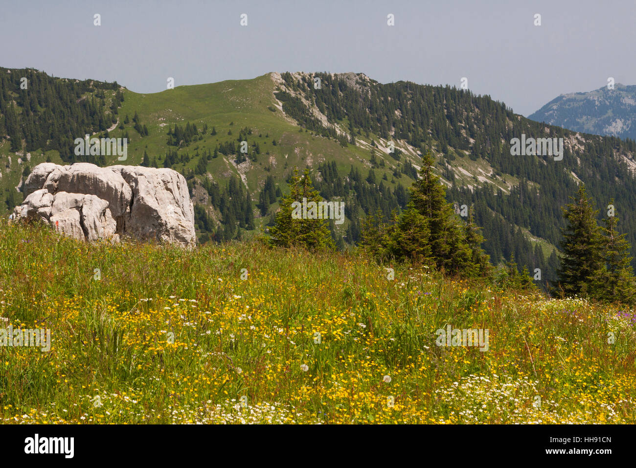 Alpes, violin, montagnes, vacances, vacances, vacances, vacances, Alpes, Banque D'Images