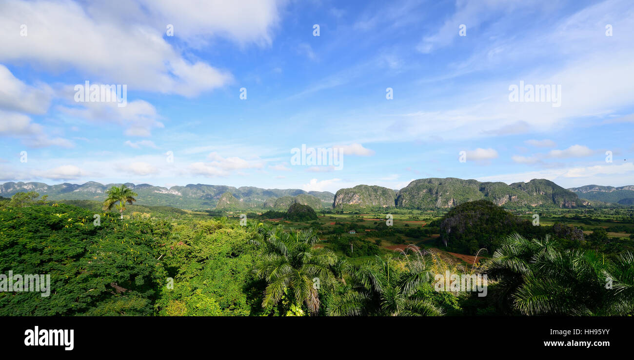 Valle de Viñales, Cuba, province de Pinar del rio Banque D'Images