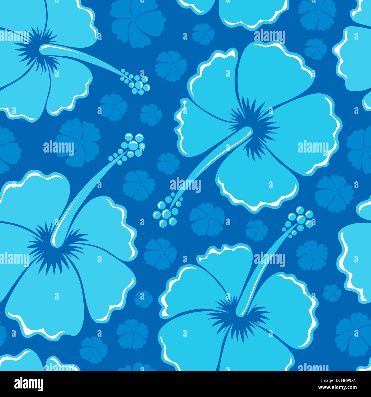 Fleur, plante, fleurs, fleurir, s'épanouir, en plein essor, fleurs, hibiscus, Banque D'Images