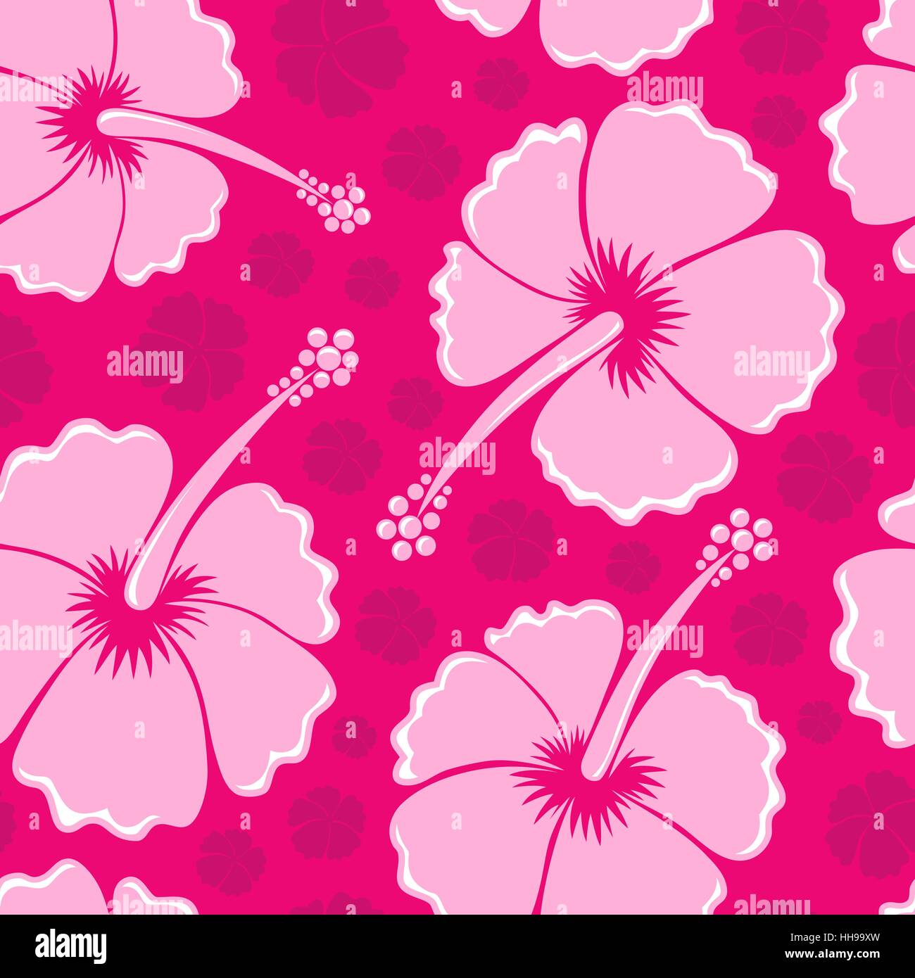 Fleur, plante, fleurs, fleurir, s'épanouir, en plein essor, fleurs, hibiscus, Banque D'Images