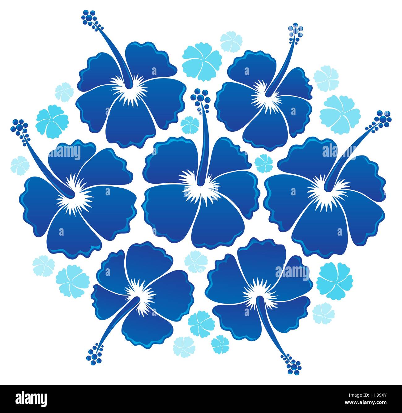 Fleur, plante, fleur, fleurs, fleurir, floraison, fleurs, pétale, hibiscus, Banque D'Images