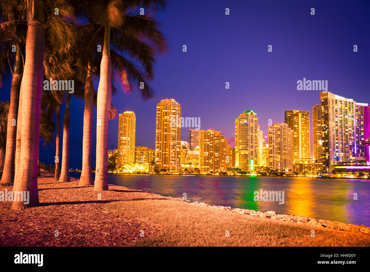 Floride Miami skyline at night avec palmiers Banque D'Images Floride Miami skyline at night avec palmiers Banque D'Images