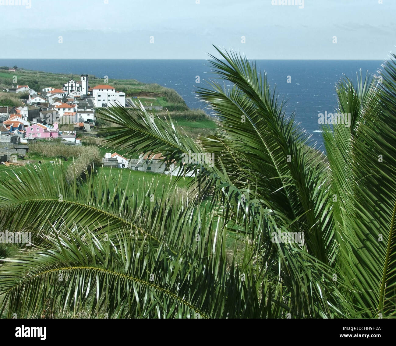 Paysage côtier à l'île de São Miguel, la plus grande île de l'archipel des Açores, un groupe d'îles volcanique situé au milieu de l'océan Atlantique Nord (Portugal) Banque D'Images